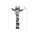 Picture of Long Neck II _GroupedProduct_Rectangle_Portrait_Photography _GroupedProduct_Rectangle_Portrait_Unframed_Print_Only_