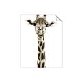 Picture of Long Neck II _GroupedProduct_Rectangle_Portrait_Photography _GroupedProduct_Rectangle_Portrait_Unframed_Print_Only_