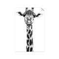 Picture of Long Neck II _GroupedProduct_Rectangle_Portrait_Photography _GroupedProduct_Rectangle_Portrait_Unframed_Print_Only_