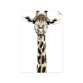 Picture of Long Neck II _GroupedProduct_Rectangle_Portrait_Photography _GroupedProduct_Rectangle_Portrait_Unframed_Print_Only_