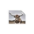 Picture of Longhorn Bull _GroupedProduct_Rectangle_Landscape_Photography _GroupedProduct_Rectangle_Landscape_Unframed_Print_Only_