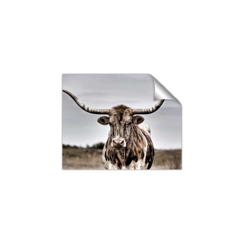 Picture of Longhorn Bull _GroupedProduct_Rectangle_Landscape_Photography _GroupedProduct_Rectangle_Landscape_Unframed_Print_Only_