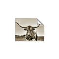 Picture of Longhorn Bull _GroupedProduct_Rectangle_Landscape_Photography _GroupedProduct_Rectangle_Landscape_Unframed_Print_Only_