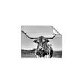 Picture of Longhorn Bull _GroupedProduct_Rectangle_Landscape_Photography _GroupedProduct_Rectangle_Landscape_Unframed_Print_Only_