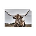 Picture of Longhorn Bull _GroupedProduct_Rectangle_Landscape_Photography _GroupedProduct_Rectangle_Landscape_Unframed_Print_Only_