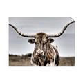 Picture of Longhorn Bull _GroupedProduct_Rectangle_Landscape_Photography _GroupedProduct_Rectangle_Landscape_Unframed_Print_Only_