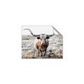 Picture of Longhorn Bull II _GroupedProduct_Rectangle_Landscape_Photography _GroupedProduct_Rectangle_Landscape_Unframed_Print_Only_