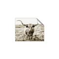 Picture of Longhorn Bull II _GroupedProduct_Rectangle_Landscape_Photography _GroupedProduct_Rectangle_Landscape_Unframed_Print_Only_