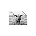 Picture of Longhorn Bull II _GroupedProduct_Rectangle_Landscape_Photography _GroupedProduct_Rectangle_Landscape_Unframed_Print_Only_