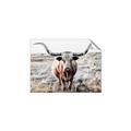 Picture of Longhorn Bull II _GroupedProduct_Rectangle_Landscape_Photography _GroupedProduct_Rectangle_Landscape_Unframed_Print_Only_
