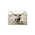 Picture of Longhorn Bull II _GroupedProduct_Rectangle_Landscape_Photography _GroupedProduct_Rectangle_Landscape_Unframed_Print_Only_