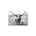 Picture of Longhorn Bull II _GroupedProduct_Rectangle_Landscape_Photography _GroupedProduct_Rectangle_Landscape_Unframed_Print_Only_