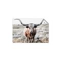 Picture of Longhorn Bull II _GroupedProduct_Rectangle_Landscape_Photography _GroupedProduct_Rectangle_Landscape_Unframed_Print_Only_