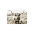 Picture of Longhorn Bull II _GroupedProduct_Rectangle_Landscape_Photography _GroupedProduct_Rectangle_Landscape_Unframed_Print_Only_