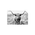 Picture of Longhorn Bull II _GroupedProduct_Rectangle_Landscape_Photography _GroupedProduct_Rectangle_Landscape_Unframed_Print_Only_