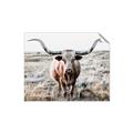 Picture of Longhorn Bull II _GroupedProduct_Rectangle_Landscape_Photography _GroupedProduct_Rectangle_Landscape_Unframed_Print_Only_
