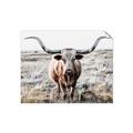 Picture of Longhorn Bull II _GroupedProduct_Rectangle_Landscape_Photography _GroupedProduct_Rectangle_Landscape_Unframed_Print_Only_