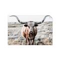 Picture of Longhorn Bull II _GroupedProduct_Rectangle_Landscape_Photography _GroupedProduct_Rectangle_Landscape_Unframed_Print_Only_