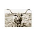 Picture of Longhorn Bull II _GroupedProduct_Rectangle_Landscape_Photography _GroupedProduct_Rectangle_Landscape_Unframed_Print_Only_