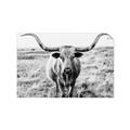 Picture of Longhorn Bull II _GroupedProduct_Rectangle_Landscape_Photography _GroupedProduct_Rectangle_Landscape_Unframed_Print_Only_
