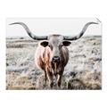Picture of Longhorn Bull II _GroupedProduct_Rectangle_Landscape_Photography _GroupedProduct_Rectangle_Landscape_Unframed_Print_Only_