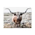 Picture of Longhorn Bull II _GroupedProduct_Rectangle_Landscape_Photography _GroupedProduct_Rectangle_Landscape_Unframed_Print_Only_
