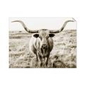 Picture of Longhorn Bull II _GroupedProduct_Rectangle_Landscape_Photography _GroupedProduct_Rectangle_Landscape_Unframed_Print_Only_