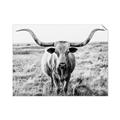 Picture of Longhorn Bull II _GroupedProduct_Rectangle_Landscape_Photography _GroupedProduct_Rectangle_Landscape_Unframed_Print_Only_