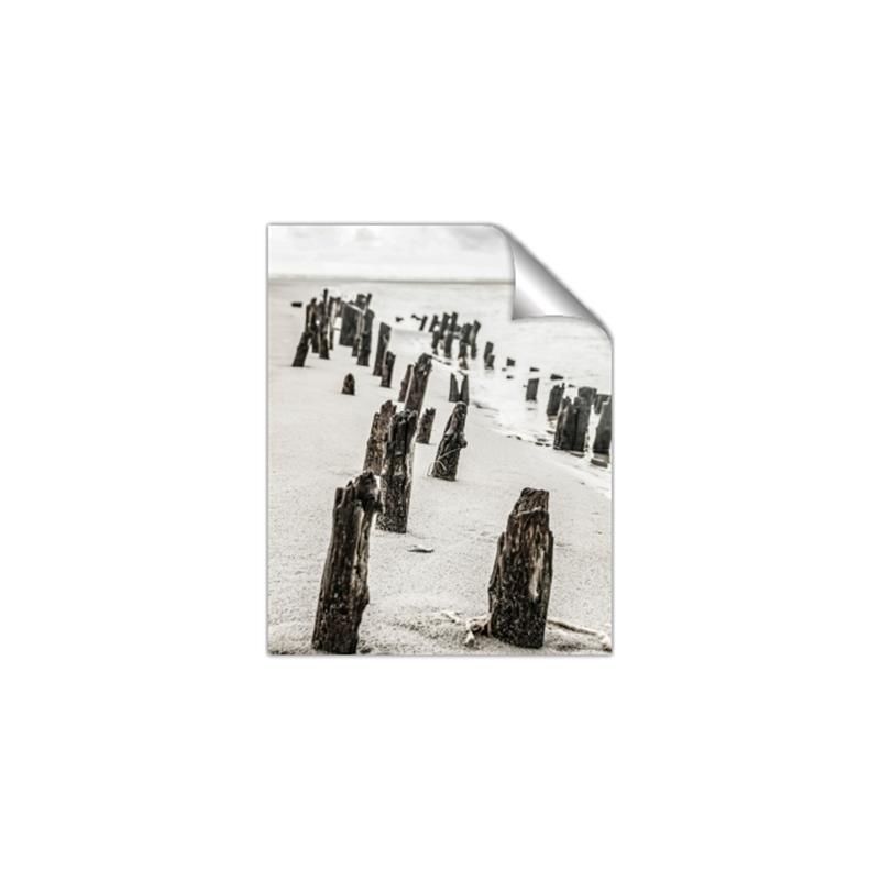 Picture of Low Tide  _GroupedProduct_Rectangle_Portrait_Photography _GroupedProduct_Rectangle_Portrait_Unframed_Print_Only_