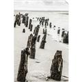 Picture of Low Tide  _GroupedProduct_Rectangle_Portrait_Photography _GroupedProduct_Rectangle_Portrait_Unframed_Print_Only_