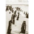 Picture of Low Tide  _GroupedProduct_Rectangle_Portrait_Photography _GroupedProduct_Rectangle_Portrait_Unframed_Print_Only_