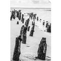 Picture of Low Tide  _GroupedProduct_Rectangle_Portrait_Photography _GroupedProduct_Rectangle_Portrait_Unframed_Print_Only_