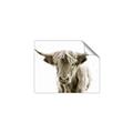 Picture of Maggie, the Cow  _GroupedProduct_Rectangle_Landscape_Photography _GroupedProduct_Rectangle_Landscape_Unframed_Print_Only_