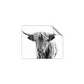 Picture of Maggie, the Cow  _GroupedProduct_Rectangle_Landscape_Photography _GroupedProduct_Rectangle_Landscape_Unframed_Print_Only_