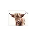 Picture of Maggie, the Cow  _GroupedProduct_Rectangle_Landscape_Photography _GroupedProduct_Rectangle_Landscape_Unframed_Print_Only_
