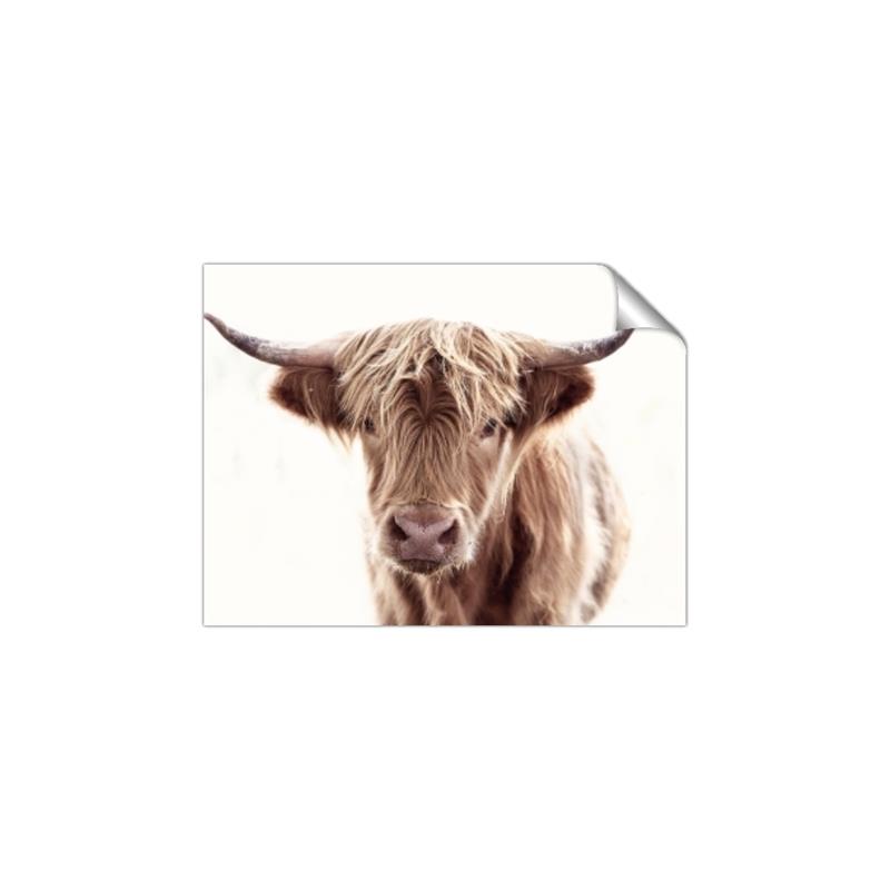 Picture of Maggie, the Cow  _GroupedProduct_Rectangle_Landscape_Photography _GroupedProduct_Rectangle_Landscape_Unframed_Print_Only_