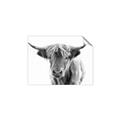 Picture of Maggie, the Cow  _GroupedProduct_Rectangle_Landscape_Photography _GroupedProduct_Rectangle_Landscape_Unframed_Print_Only_