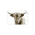 Picture of Maggie, the Cow  _GroupedProduct_Rectangle_Landscape_Photography _GroupedProduct_Rectangle_Landscape_Unframed_Print_Only_