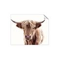 Picture of Maggie, the Cow  _GroupedProduct_Rectangle_Landscape_Photography _GroupedProduct_Rectangle_Landscape_Unframed_Print_Only_