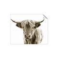 Picture of Maggie, the Cow  _GroupedProduct_Rectangle_Landscape_Photography _GroupedProduct_Rectangle_Landscape_Unframed_Print_Only_