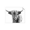 Picture of Maggie, the Cow  _GroupedProduct_Rectangle_Landscape_Photography _GroupedProduct_Rectangle_Landscape_Unframed_Print_Only_