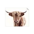 Picture of Maggie, the Cow  _GroupedProduct_Rectangle_Landscape_Photography _GroupedProduct_Rectangle_Landscape_Unframed_Print_Only_