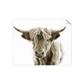 Picture of Maggie, the Cow  _GroupedProduct_Rectangle_Landscape_Photography _GroupedProduct_Rectangle_Landscape_Unframed_Print_Only_