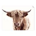 Picture of Maggie, the Cow  _GroupedProduct_Rectangle_Landscape_Photography _GroupedProduct_Rectangle_Landscape_Unframed_Print_Only_