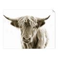 Picture of Maggie, the Cow  _GroupedProduct_Rectangle_Landscape_Photography _GroupedProduct_Rectangle_Landscape_Unframed_Print_Only_