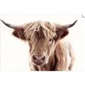 Picture of Maggie, the Cow  _GroupedProduct_Rectangle_Landscape_Photography _GroupedProduct_Rectangle_Landscape_Unframed_Print_Only_