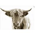 Picture of Maggie, the Cow  _GroupedProduct_Rectangle_Landscape_Photography _GroupedProduct_Rectangle_Landscape_Unframed_Print_Only_