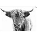 Picture of Maggie, the Cow  _GroupedProduct_Rectangle_Landscape_Photography _GroupedProduct_Rectangle_Landscape_Unframed_Print_Only_