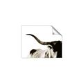Picture of Max, the Bull _GroupedProduct_Rectangle_Landscape_Photography _GroupedProduct_Rectangle_Landscape_Unframed_Print_Only_