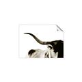 Picture of Max, the Bull _GroupedProduct_Rectangle_Landscape_Photography _GroupedProduct_Rectangle_Landscape_Unframed_Print_Only_